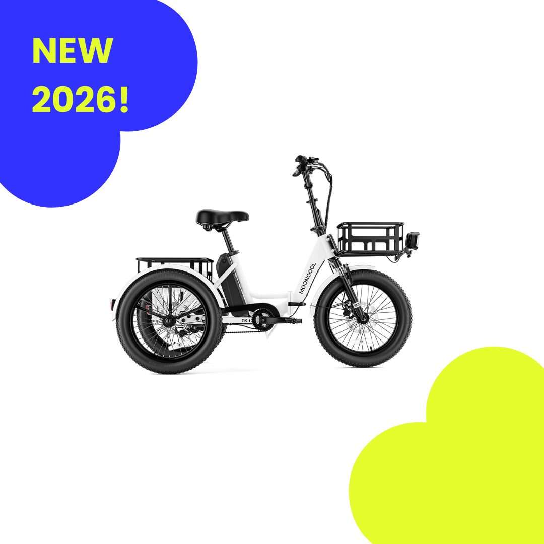 ADULT E-TRICYCLE